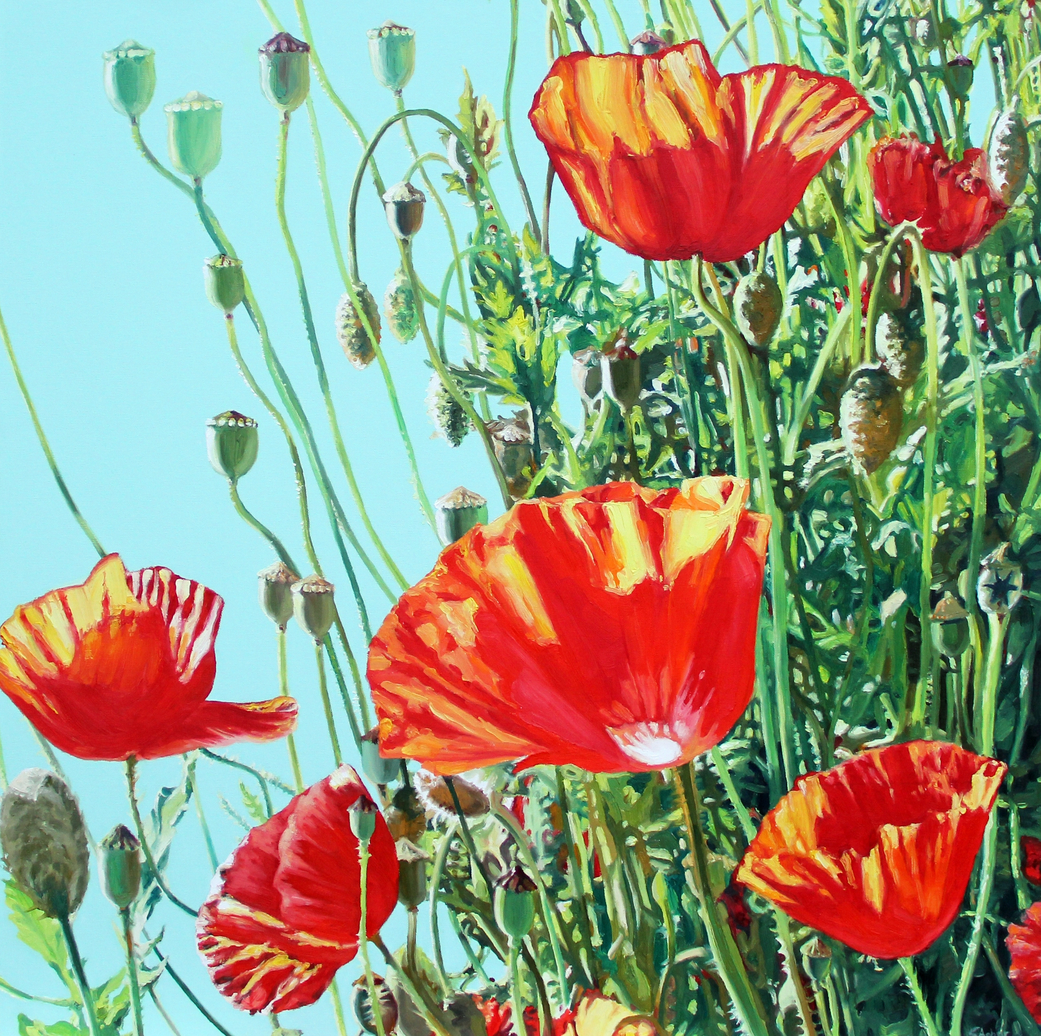 2. A Tangle of Poppies 2. A Tangle of Poppies